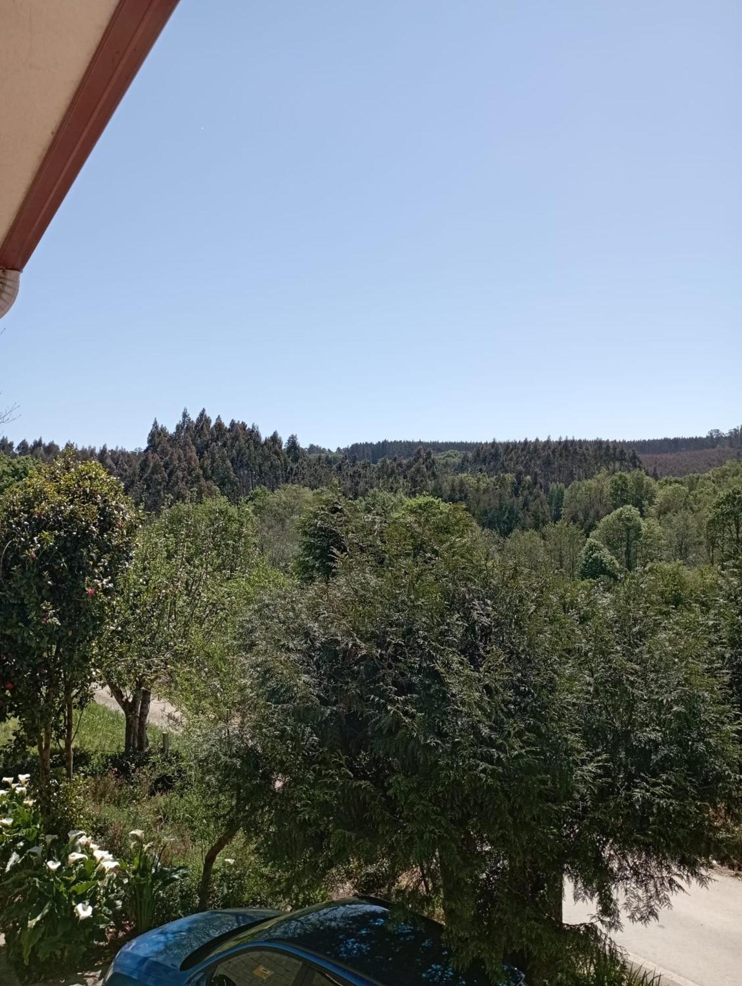 A Casa Do San Paio De Buscas Lägenhet Ordes Exteriör bild